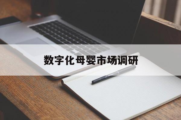 哈密市数字化母婴市场调研(数字化母婴市场调研报告)
