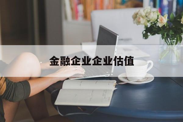 哈密市金融企业企业估值(最新企业估值怎么填)
